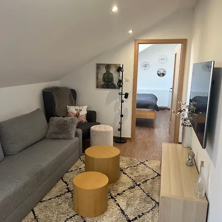 Aviatik Apartment Budweis